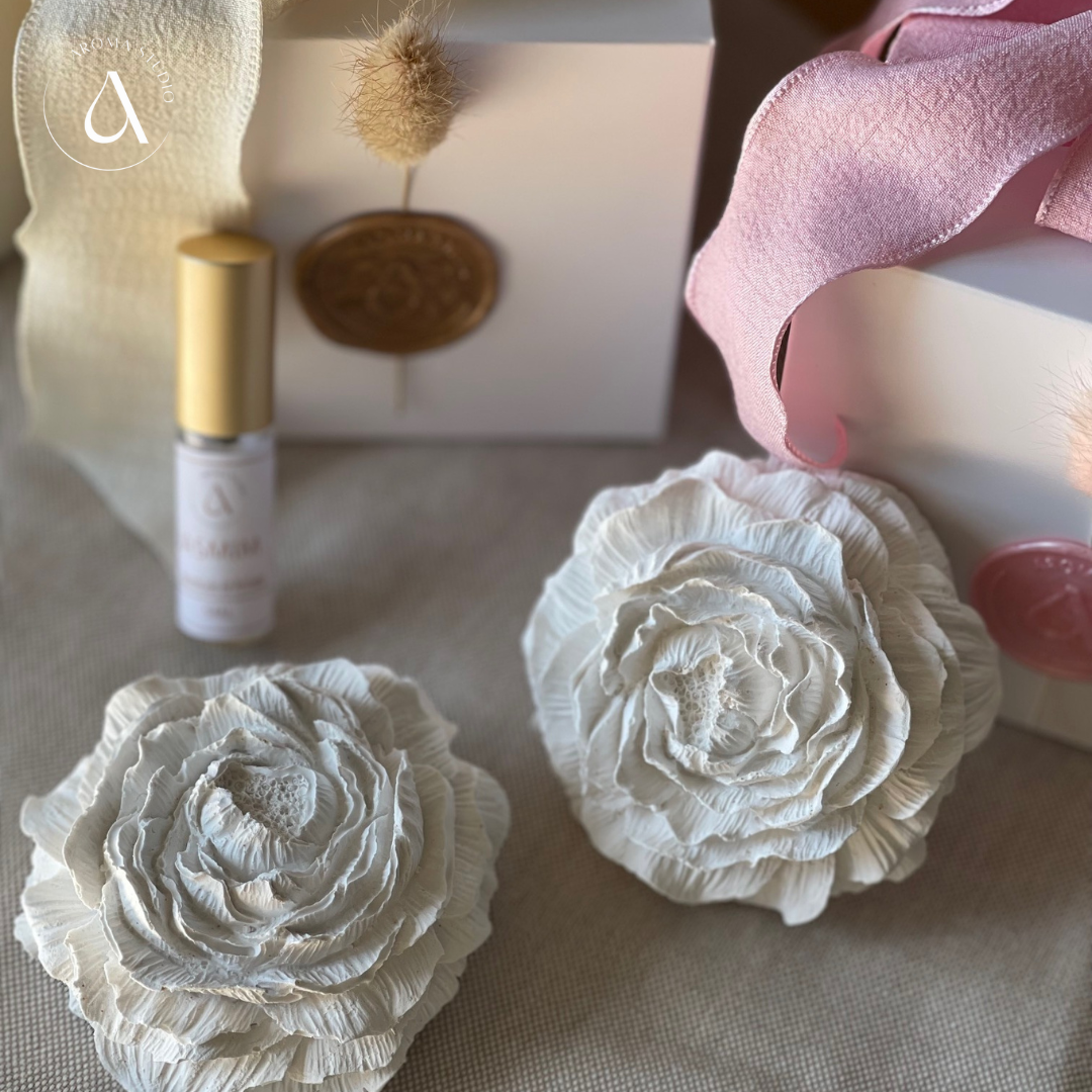 Gesso Perfumado Flor de Peónia + Frasco Perfume Concentrado