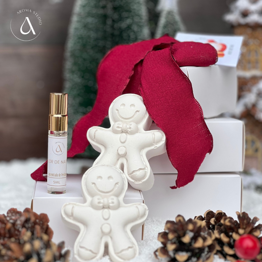 NOVIDADE - Gesso Perfumado - Mini Boneco de Gengibre