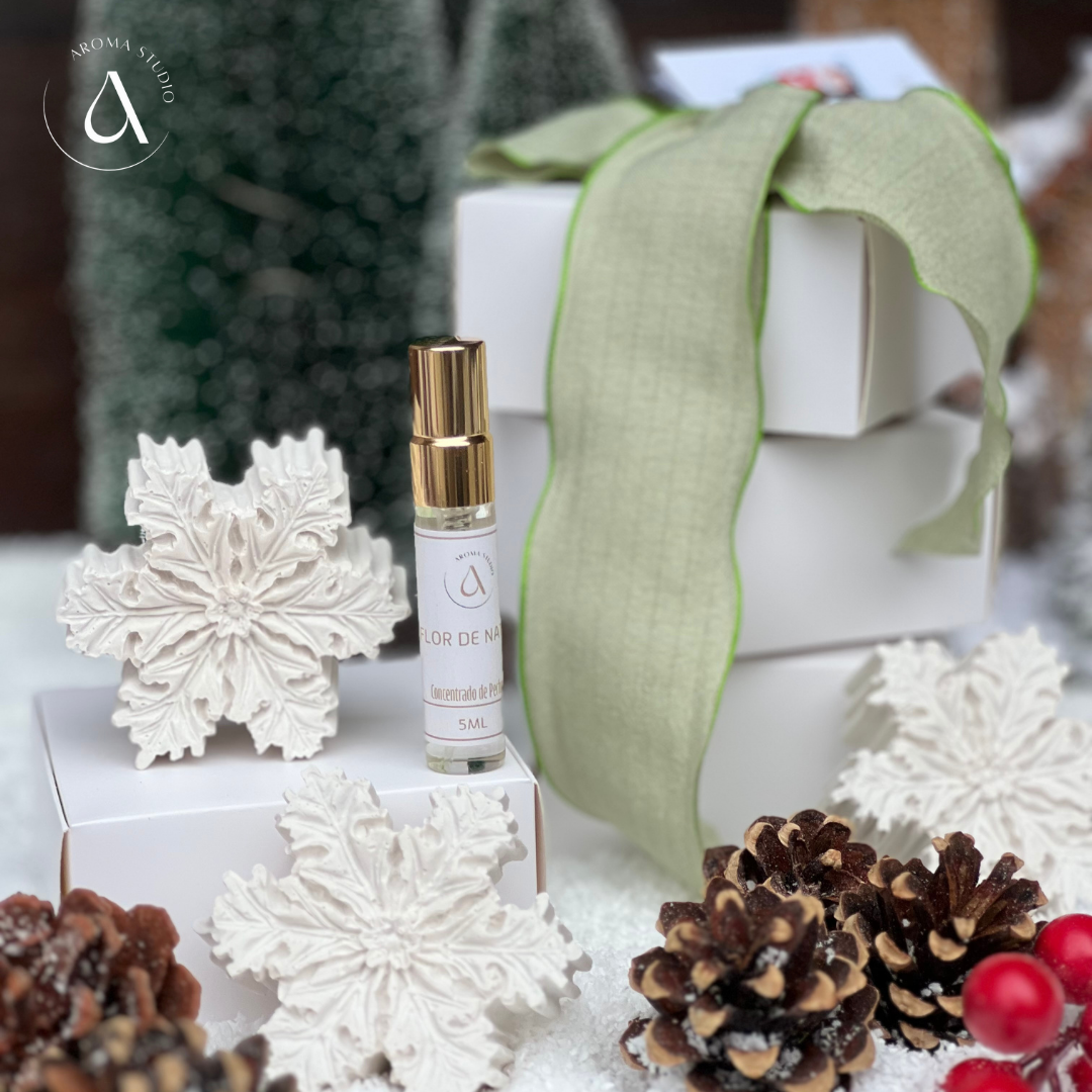 NOVIDADE - Gesso Perfumado - Mini Floco de Neve
