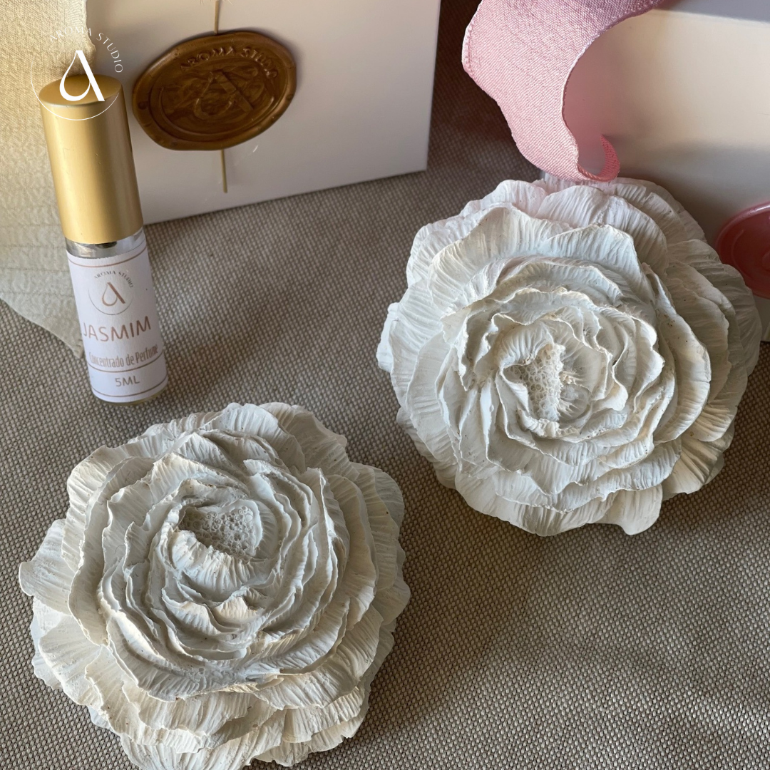 Gesso Perfumado Flor de Peónia + Frasco Perfume Concentrado