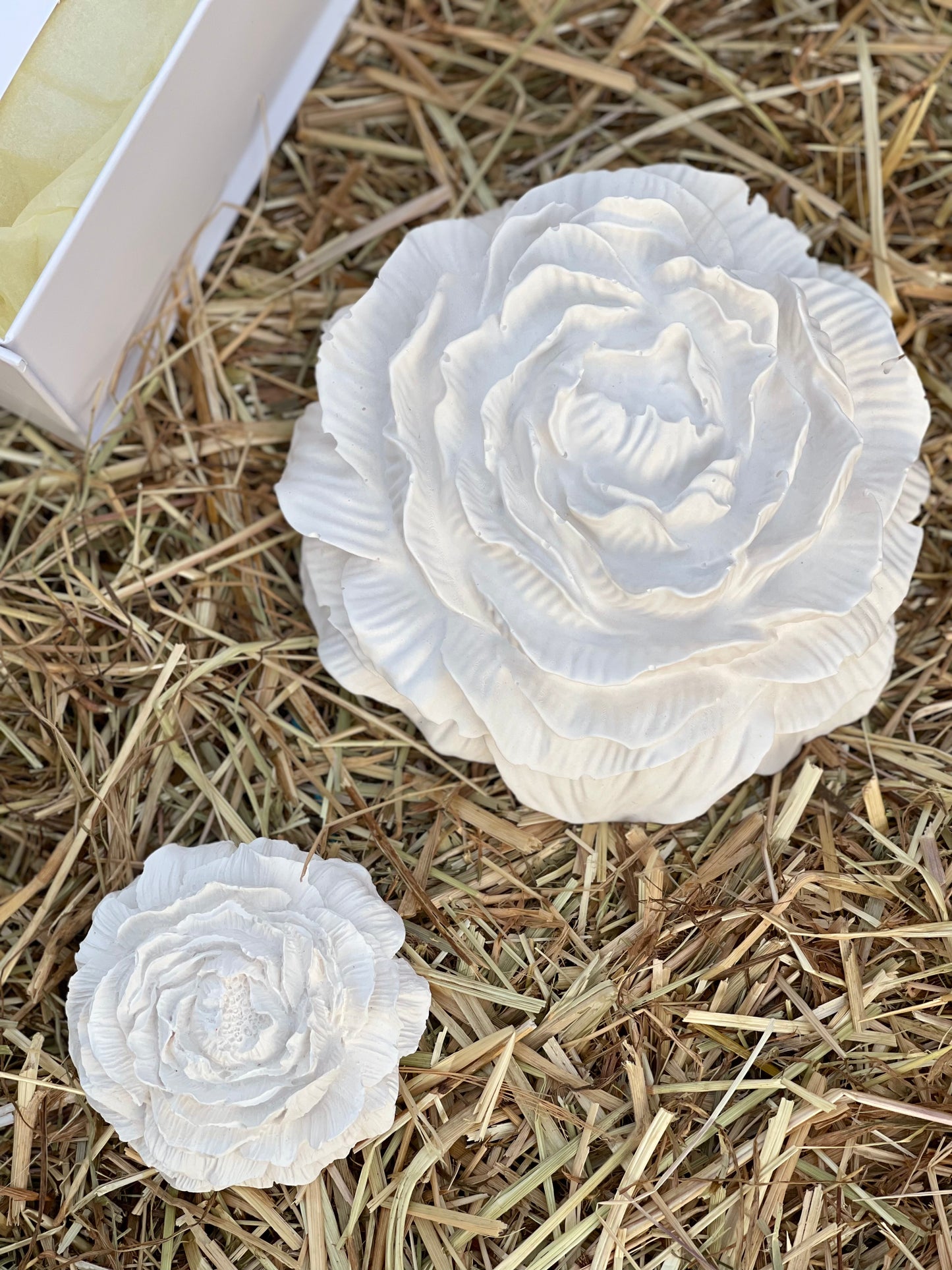 Coffret Grande Peônia