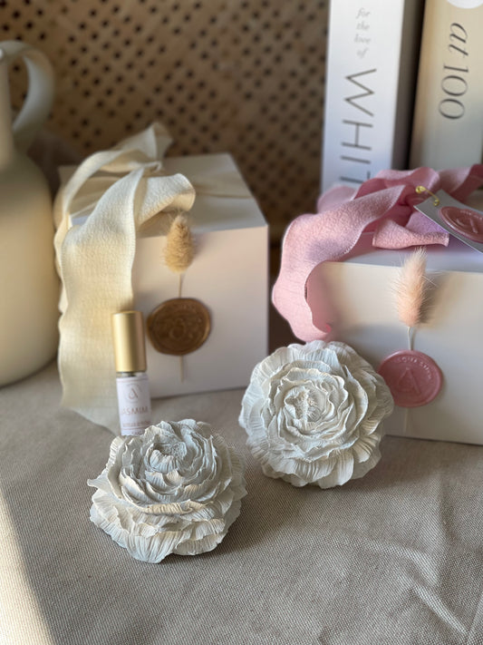 Gesso Perfumado Flor de Peónia + Frasco Perfume Concentrado