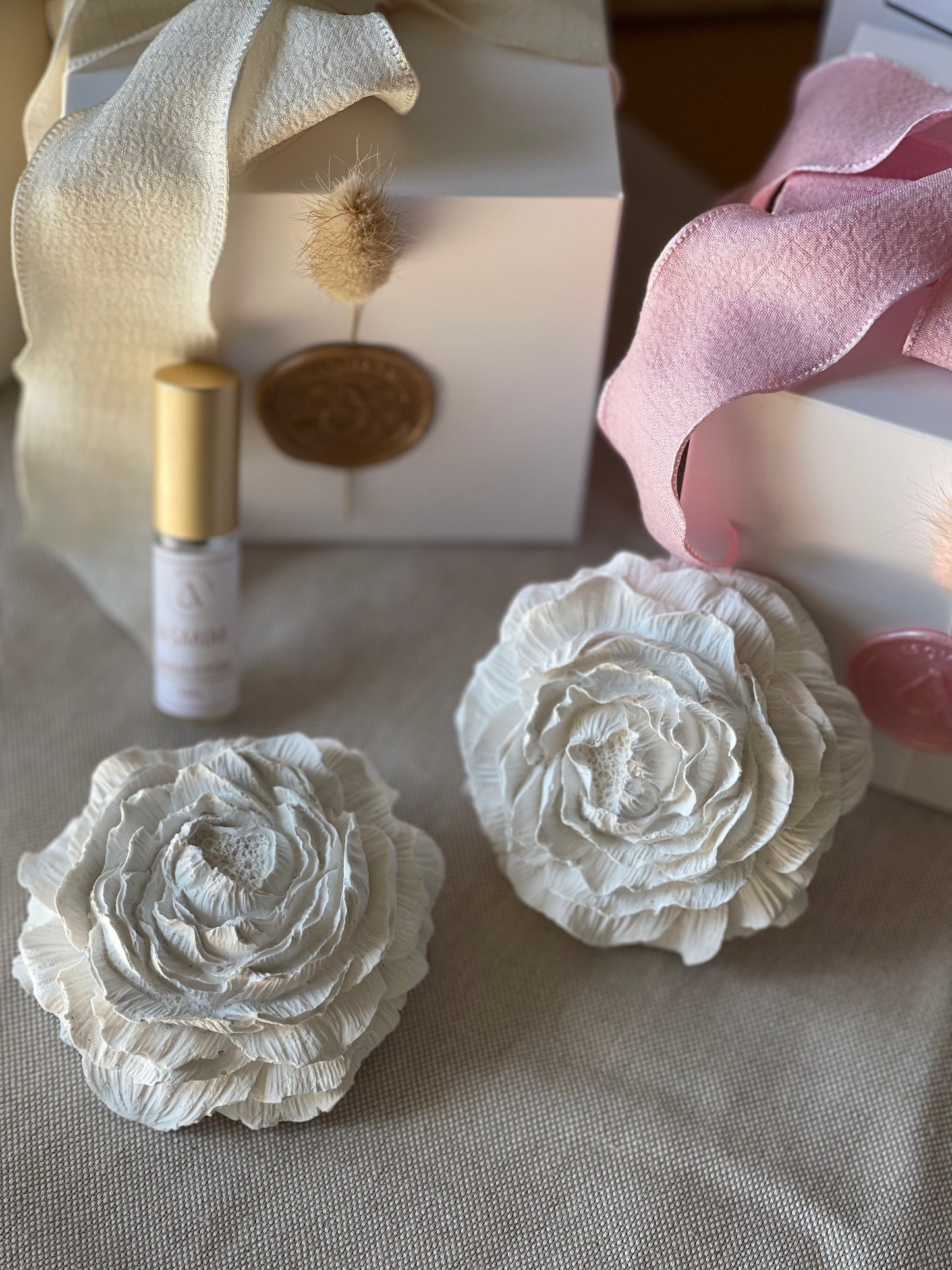 Gesso Perfumado Flor de Peónia + Frasco Perfume Concentrado