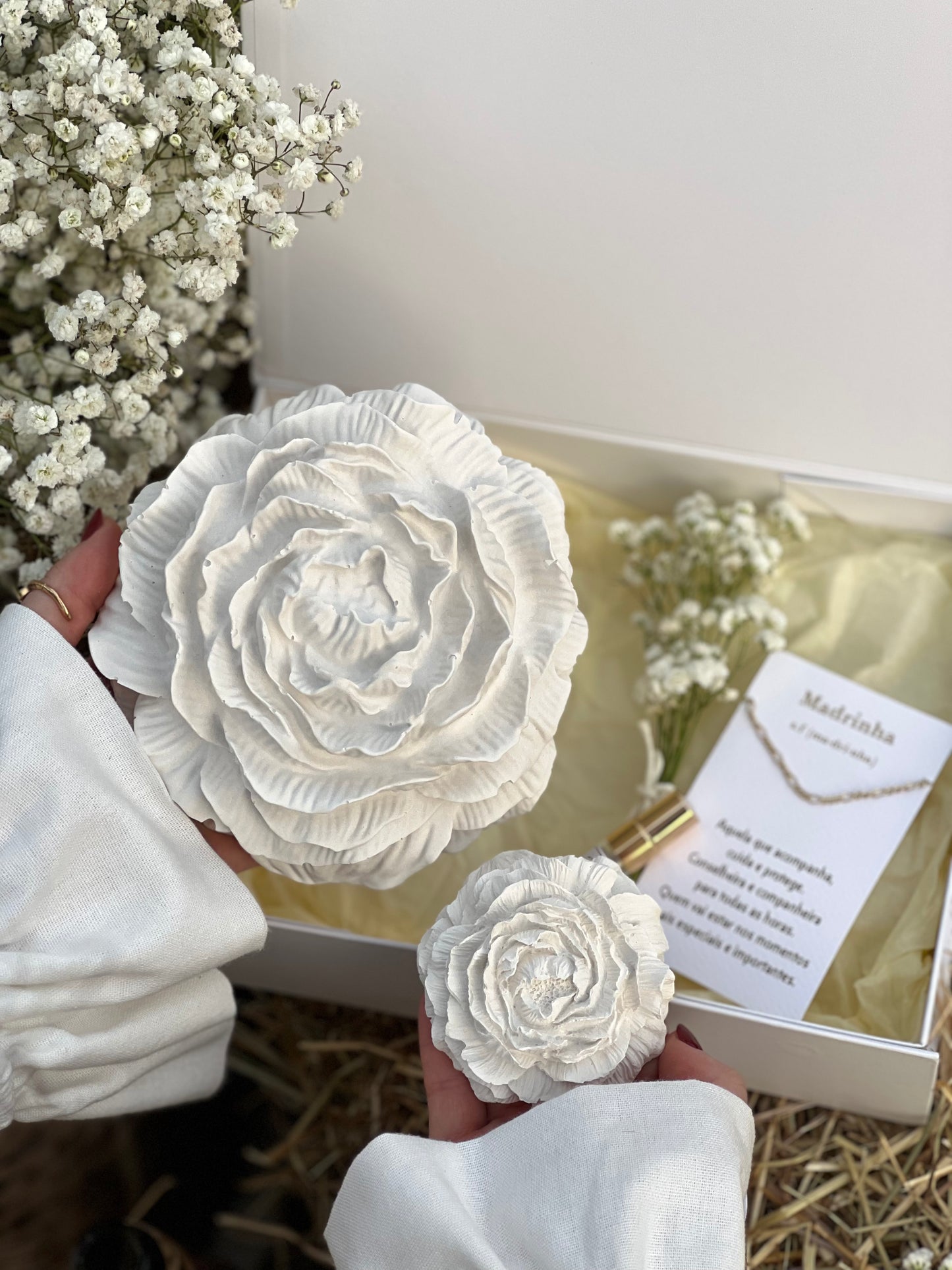 Coffret Grande Peônia