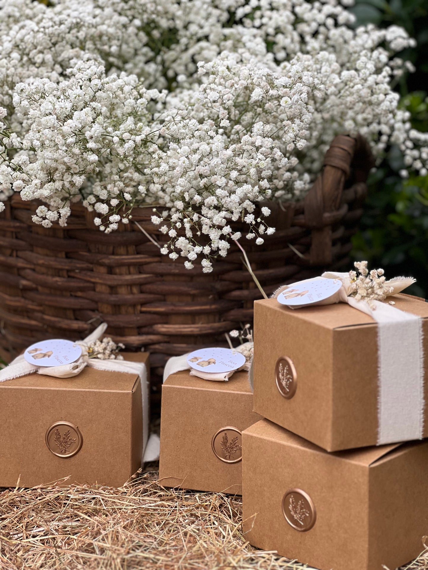 Gesso perfumado - Coelho Primavera