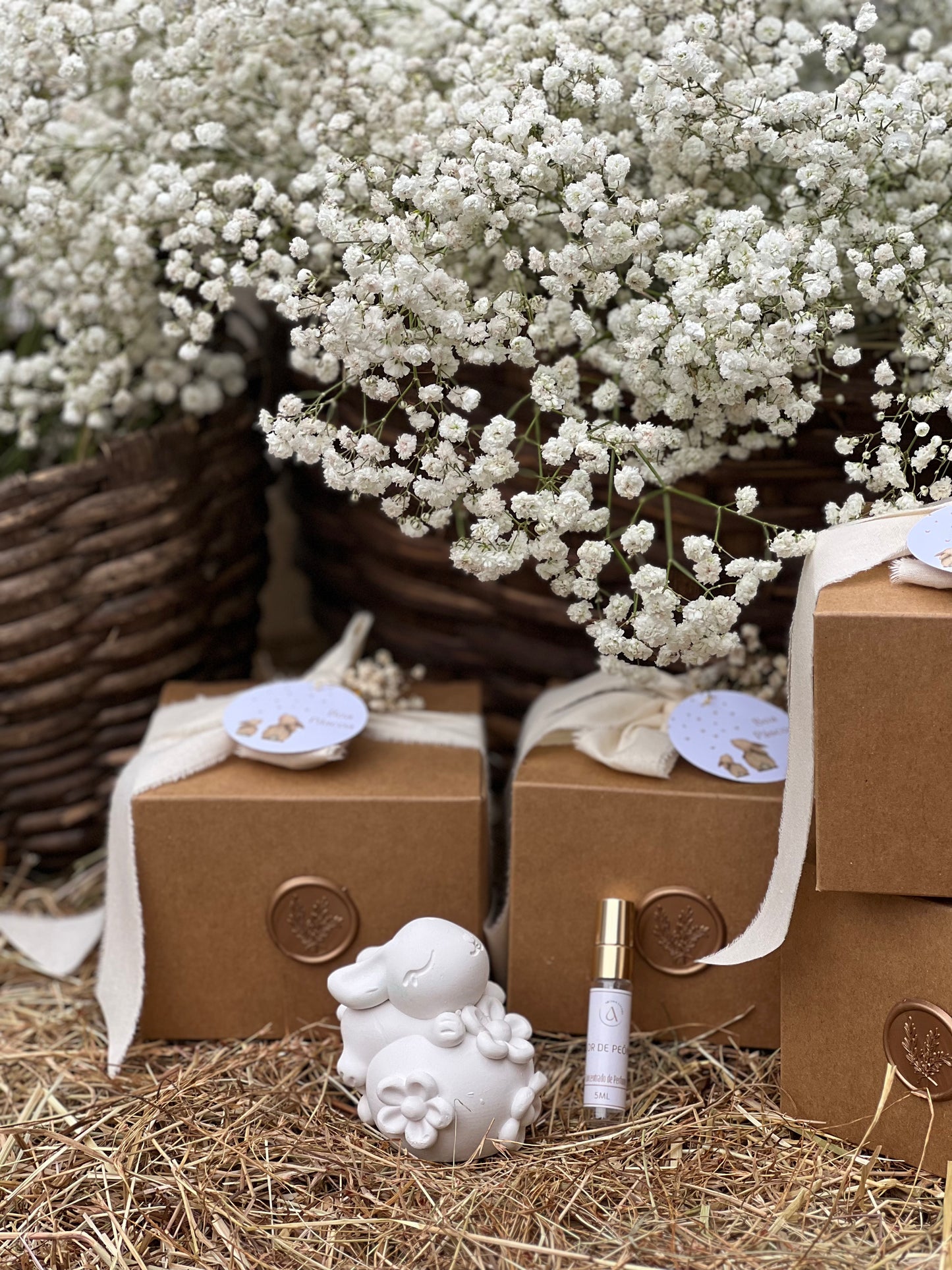 Gesso perfumado - Coelho Primavera