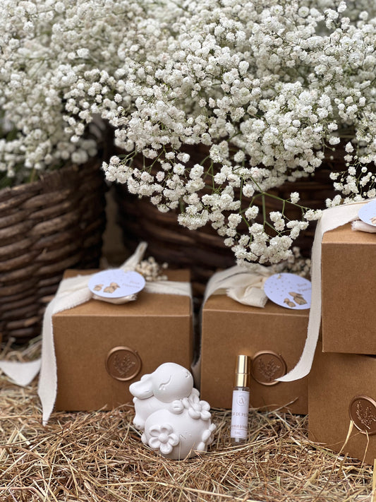 Gesso perfumado - Coelho Primavera