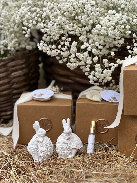 Gesso perfumado - Casal de Coelhos